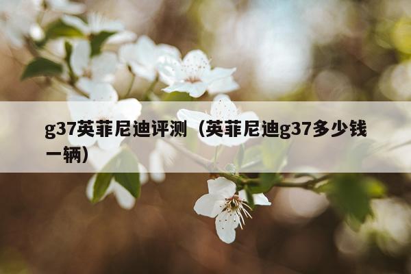 g37英菲尼迪评测（英菲尼迪g37多少钱一辆）