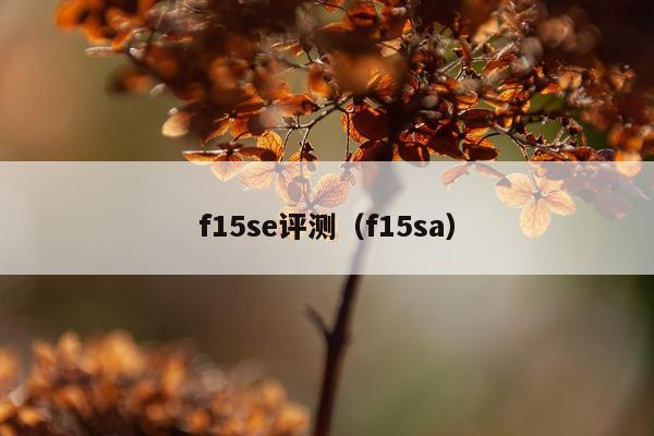 f15se评测（f15sa）