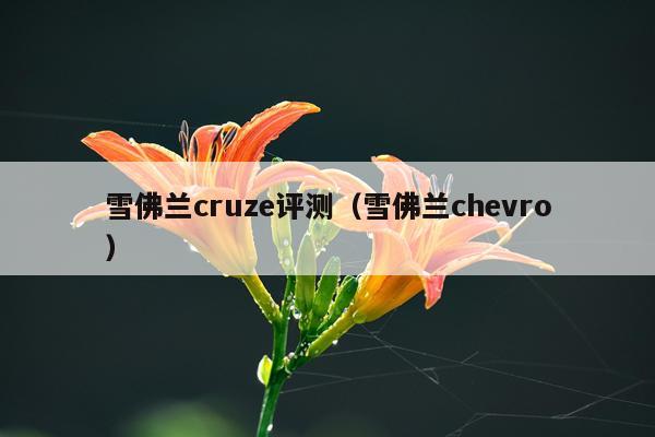 雪佛兰cruze评测（雪佛兰chevro）