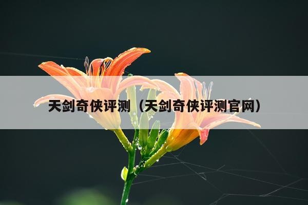 天剑奇侠评测（天剑奇侠评测官网）