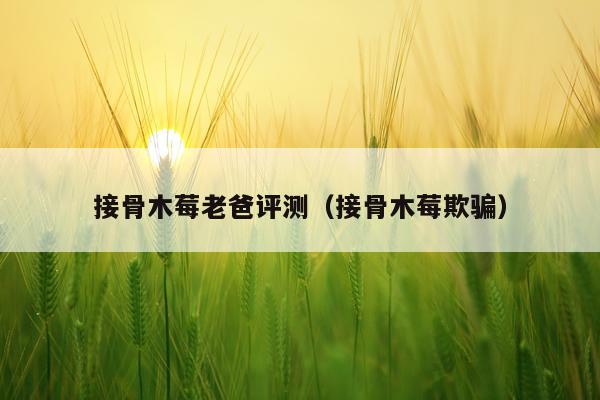 接骨木莓老爸评测（接骨木莓欺骗）