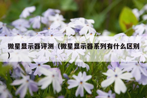 微星显示器评测（微星显示器系列有什么区别）