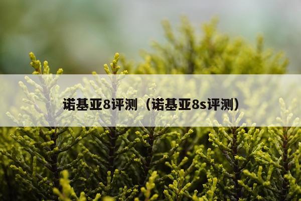 诺基亚8评测（诺基亚8s评测）