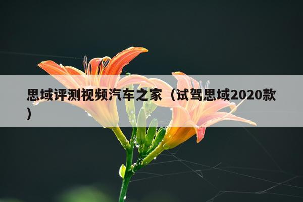 思域评测视频汽车之家（试驾思域2020款）