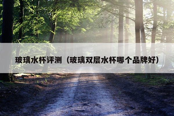 玻璃水杯评测（玻璃双层水杯哪个品牌好）