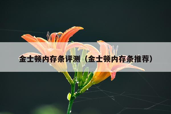 金士顿内存条评测（金士顿内存条推荐）