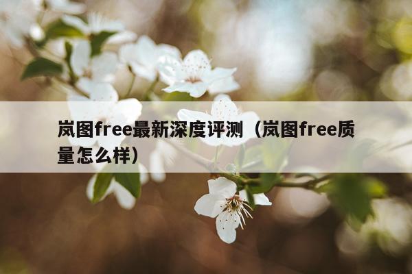 岚图free最新深度评测（岚图free质量怎么样）