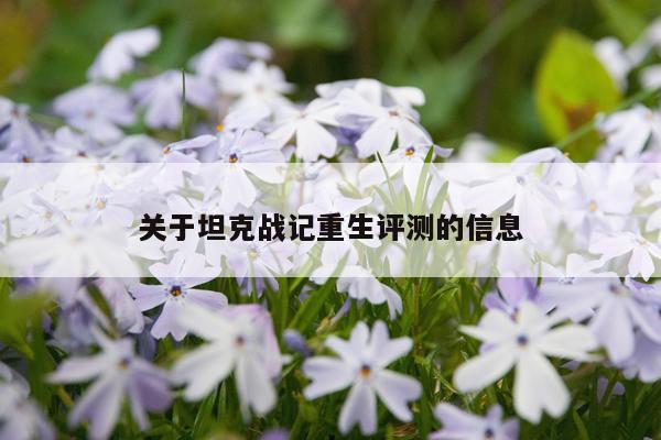 关于坦克战记重生评测的信息