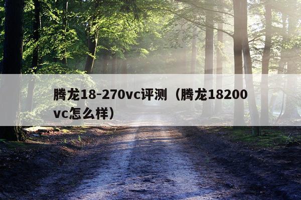 腾龙18-270vc评测（腾龙18200vc怎么样）