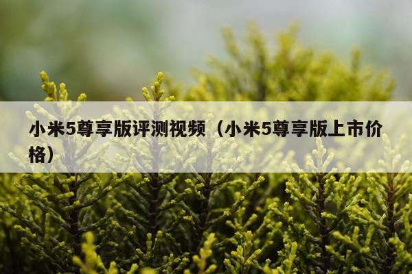 小米5尊享版评测视频（小米5尊享版上市价格）