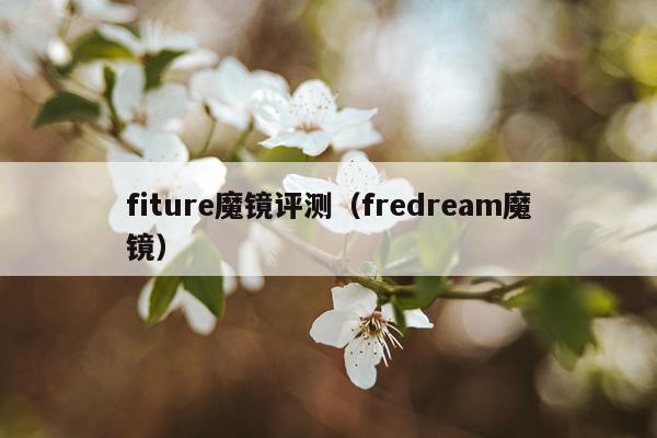 fiture魔镜评测（fredream魔镜）
