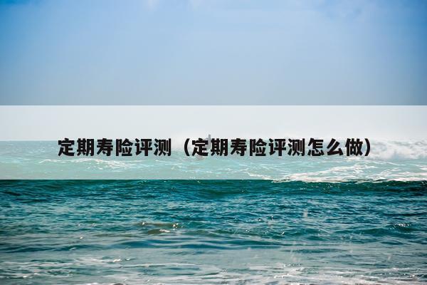 定期寿险评测（定期寿险评测怎么做）