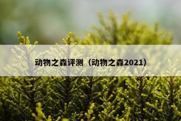 动物之森评测（动物之森2021）