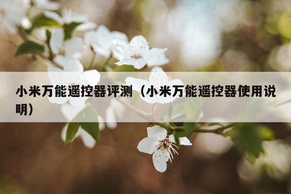 小米万能遥控器评测（小米万能遥控器使用说明）