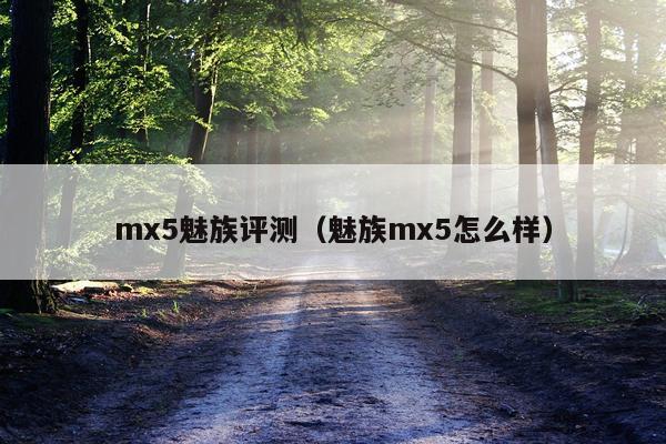 mx5魅族评测（魅族mx5怎么样）