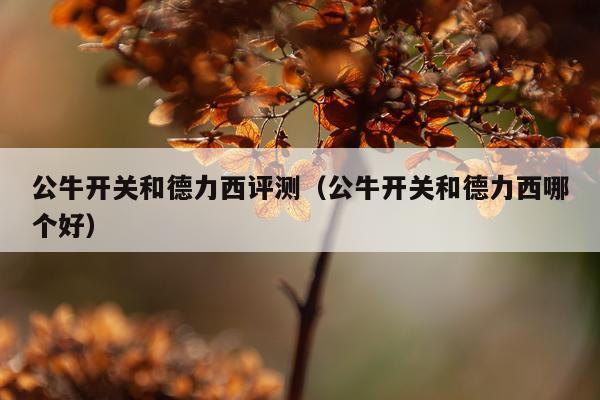 公牛开关和德力西评测（公牛开关和德力西哪个好）