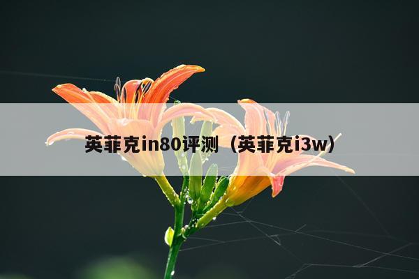 英菲克in80评测（英菲克i3w）