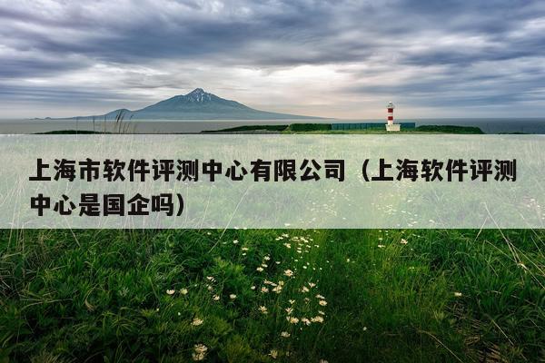 上海市软件评测中心有限公司（上海软件评测中心是国企吗）
