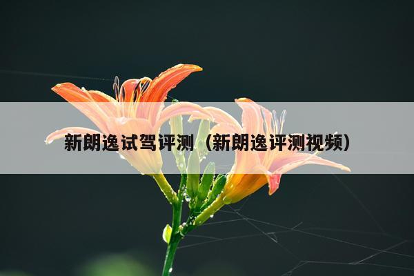 新朗逸试驾评测（新朗逸评测视频）