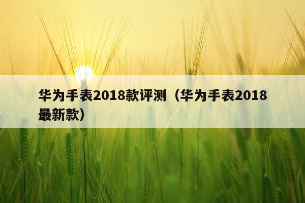 华为手表2018款评测（华为手表2018最新款）