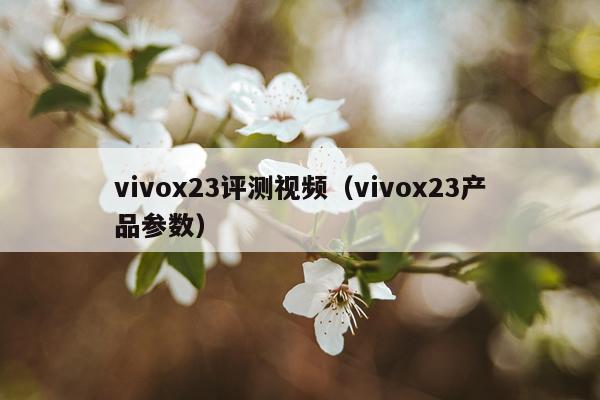vivox23评测视频（vivox23产品参数）