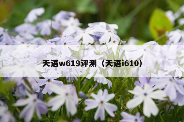 天语w619评测（天语i610）