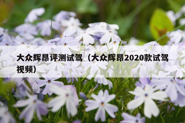 大众辉昂评测试驾（大众辉昂2020款试驾视频）