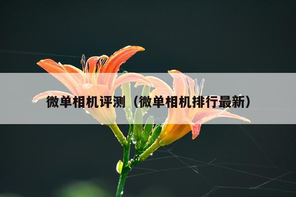 微单相机评测（微单相机排行最新）