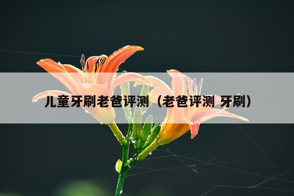 儿童牙刷老爸评测（老爸评测 牙刷）