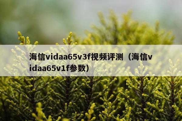 海信vidaa65v3f视频评测（海信vidaa65v1f参数）