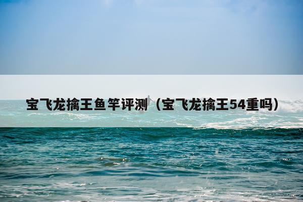 宝飞龙擒王鱼竿评测（宝飞龙擒王54重吗）