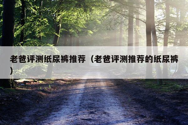 老爸评测纸尿裤推荐（老爸评测推荐的纸尿裤）