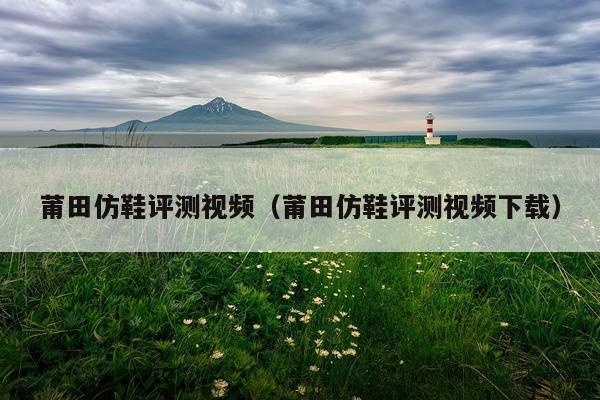 莆田仿鞋评测视频（莆田仿鞋评测视频下载）