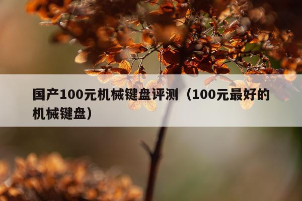 国产100元机械键盘评测（100元最好的机械键盘）