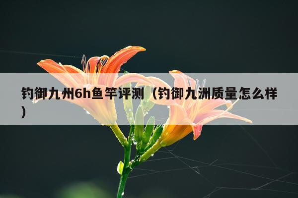 钓御九州6h鱼竿评测（钓御九洲质量怎么样）