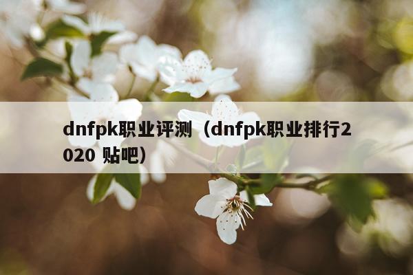 dnfpk职业评测（dnfpk职业排行2020 贴吧）