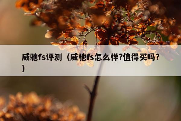 威驰fs评测（威驰fs怎么样?值得买吗?）