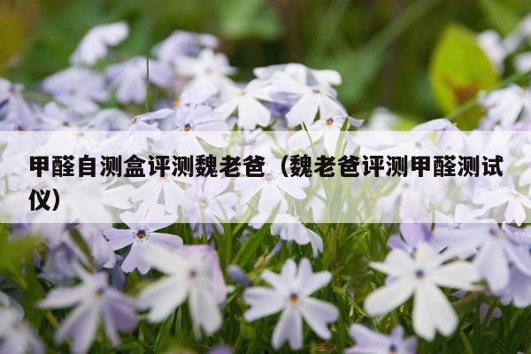 甲醛自测盒评测魏老爸（魏老爸评测甲醛测试仪）