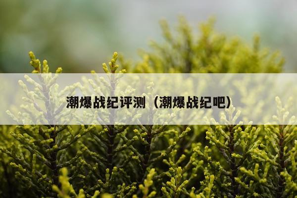 潮爆战纪评测（潮爆战纪吧）