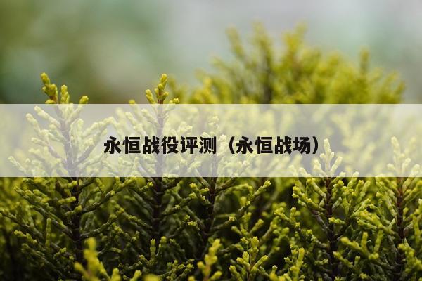 永恒战役评测（永恒战场）