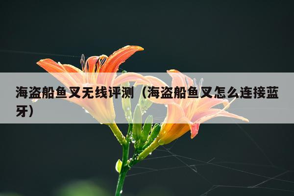 海盗船鱼叉无线评测（海盗船鱼叉怎么连接蓝牙）