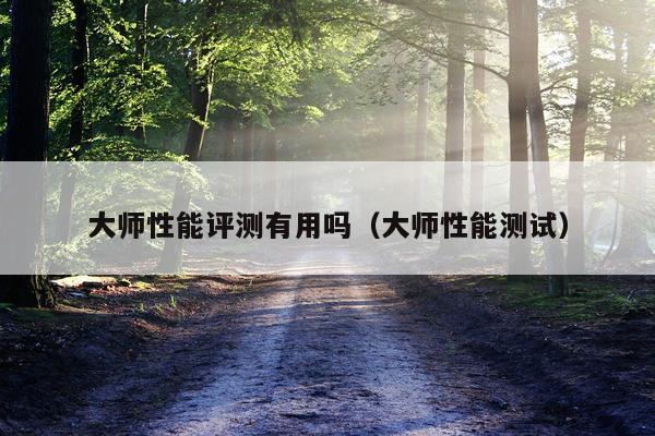 大师性能评测有用吗（大师性能测试）