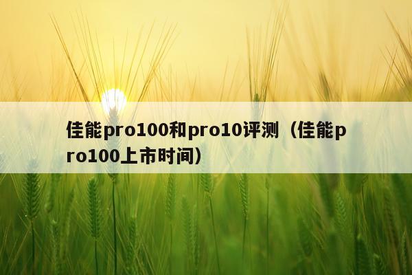 佳能pro100和pro10评测（佳能pro100上市时间）