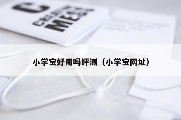 小学宝好用吗评测（小学宝网址）