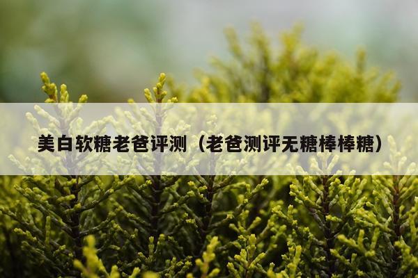美白软糖老爸评测（老爸测评无糖棒棒糖）
