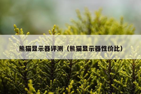 熊猫显示器评测（熊猫显示器性价比）
