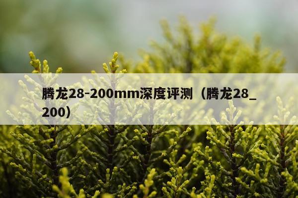 腾龙28-200mm深度评测（腾龙28_200）