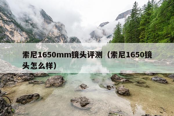索尼1650mm镜头评测（索尼1650镜头怎么样）
