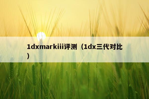 1dxmarkiii评测（1dx三代对比）
