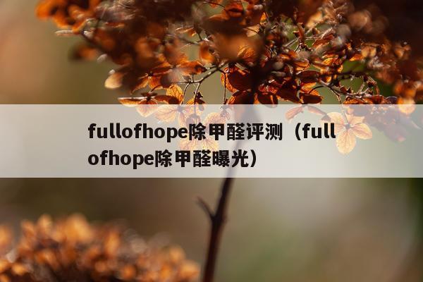 fullofhope除甲醛评测（fullofhope除甲醛曝光）
